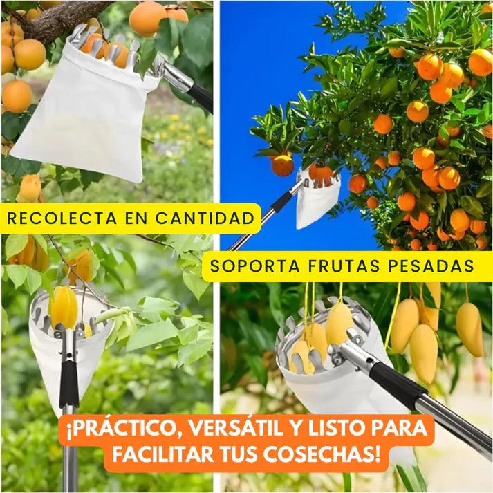 Herramienta Recolectora de Fruta