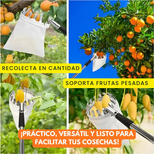 Herramienta Recolectora de Fruta