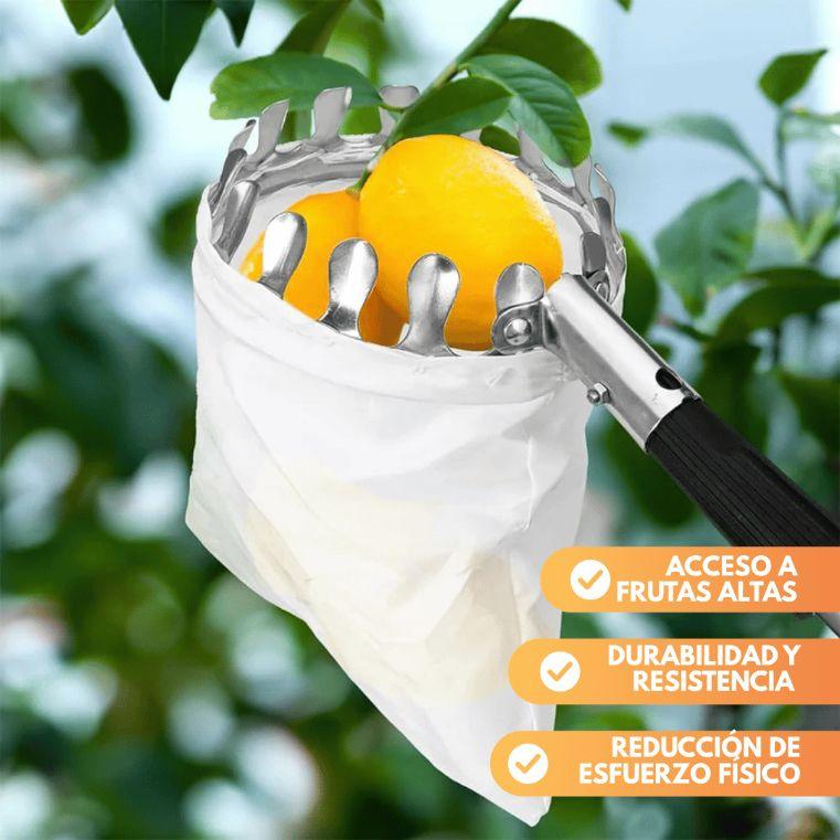 Herramienta Recolectora de Fruta
